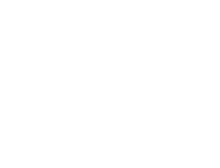 FFV Logo_White